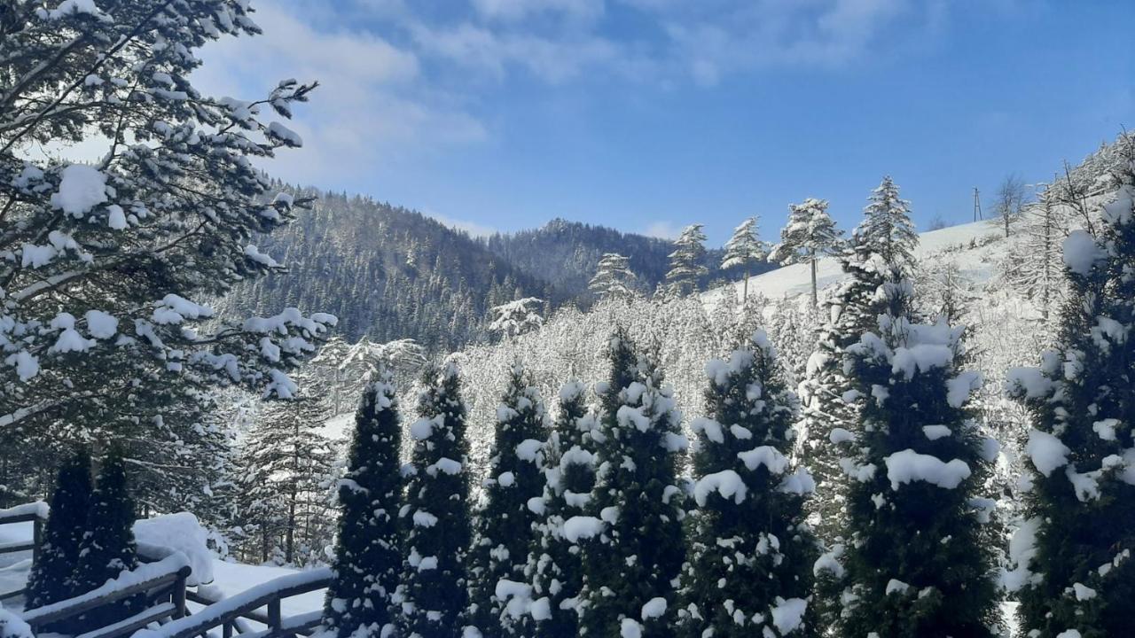 Apartman Suncana Dolina, Zaovine Dış mekan fotoğraf
