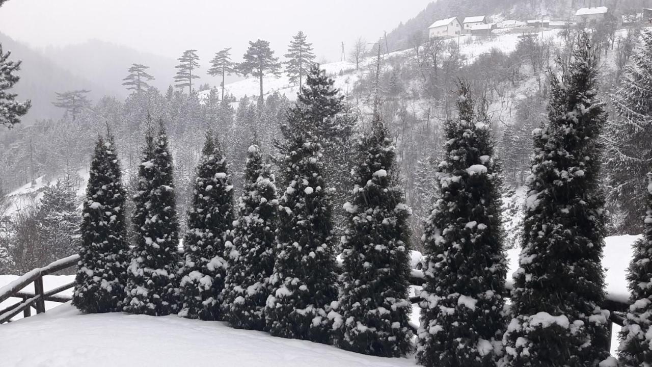 Apartman Suncana Dolina, Zaovine Dış mekan fotoğraf