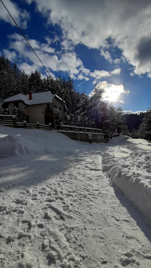Apartman Suncana Dolina, Zaovine Dış mekan fotoğraf